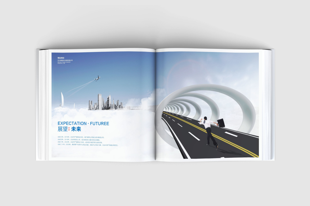 大祥区画册设计